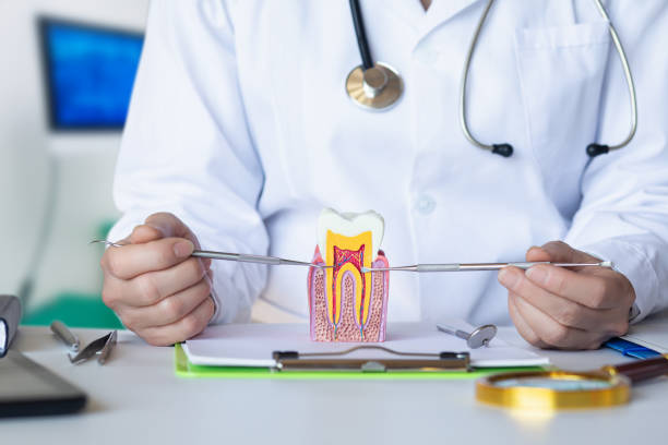 Best Emergency Dentist for Special Needs Patients in Pikesville, MD